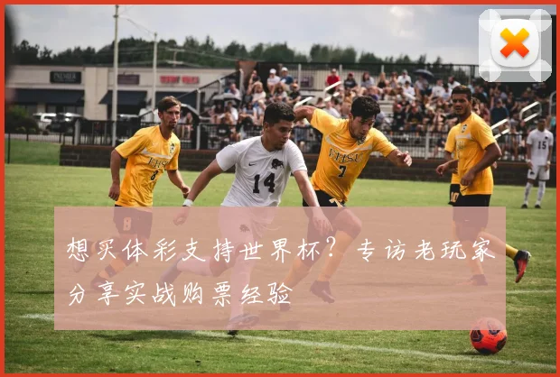 想买体彩支持世界杯？专访老玩家分享实战购票经验