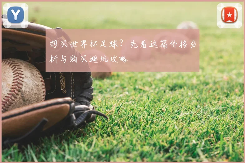 想买世界杯足球？先看这篇价格分析与购买避坑攻略