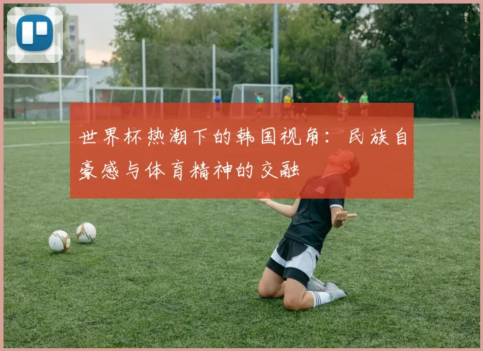 世界杯热潮下的韩国视角：民族自豪感与体育精神的交融