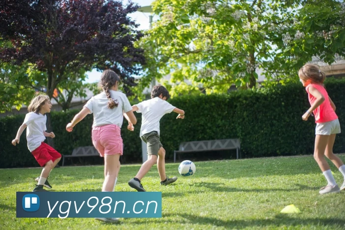 App Interface Preview